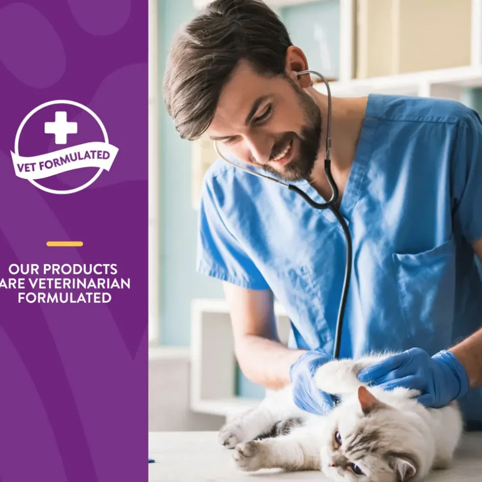 NaturVet L-Lysine Immune Support + Antioxidants Soft Chews for Cats, 60 count