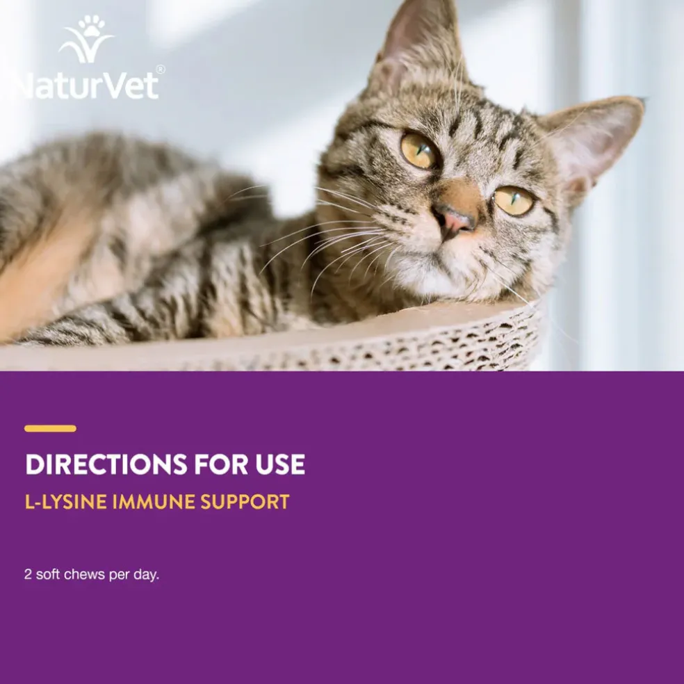 NaturVet L-Lysine Immune Support + Antioxidants Soft Chews for Cats, 60 count