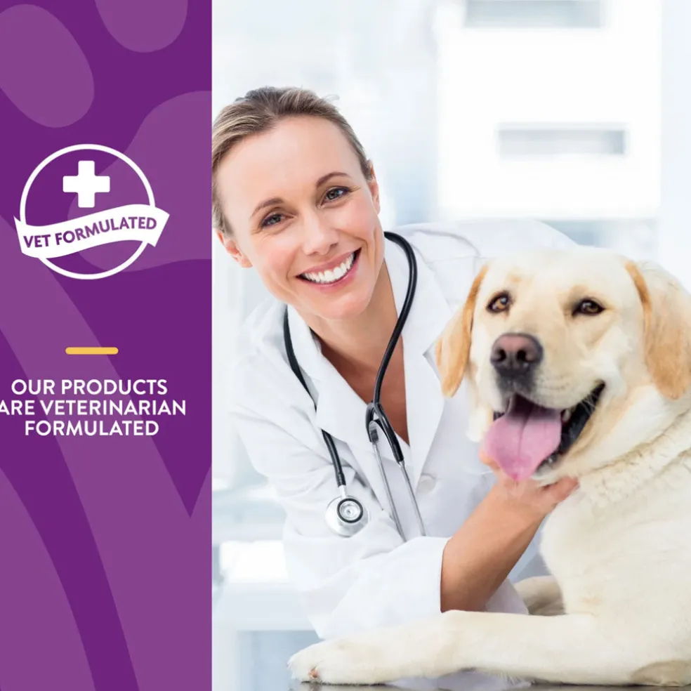 NaturVet Mushroom Max Advanced Immune Support Soft Chews for Dogs & Cats, 60 count