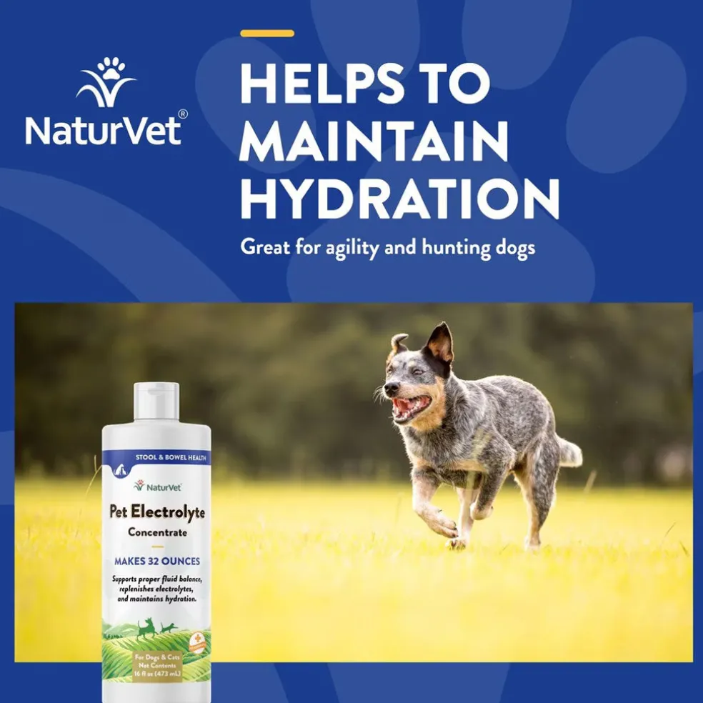 NaturVet Pet Electrolyte Concentrate for Dogs & Cats, 16-oz