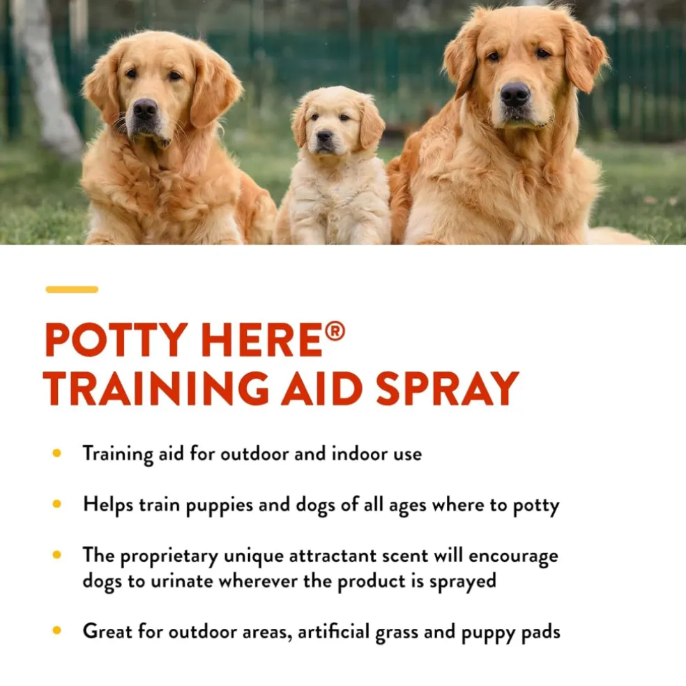 NaturVet Potty Here Training Aid Spray for Indoor & Outdoor Use (8 oz)