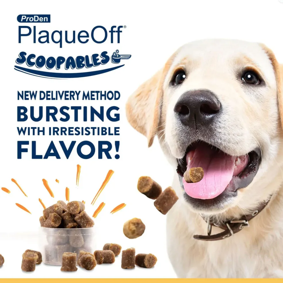 NaturVet ProDen PlaqueOff Scoopables Dental Treat for Large & Giant Breed, 45 scoops