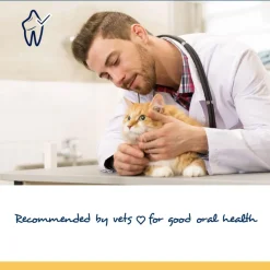 NaturVet Proden PlaqueOff Soft Chews for Cats, 45 count
