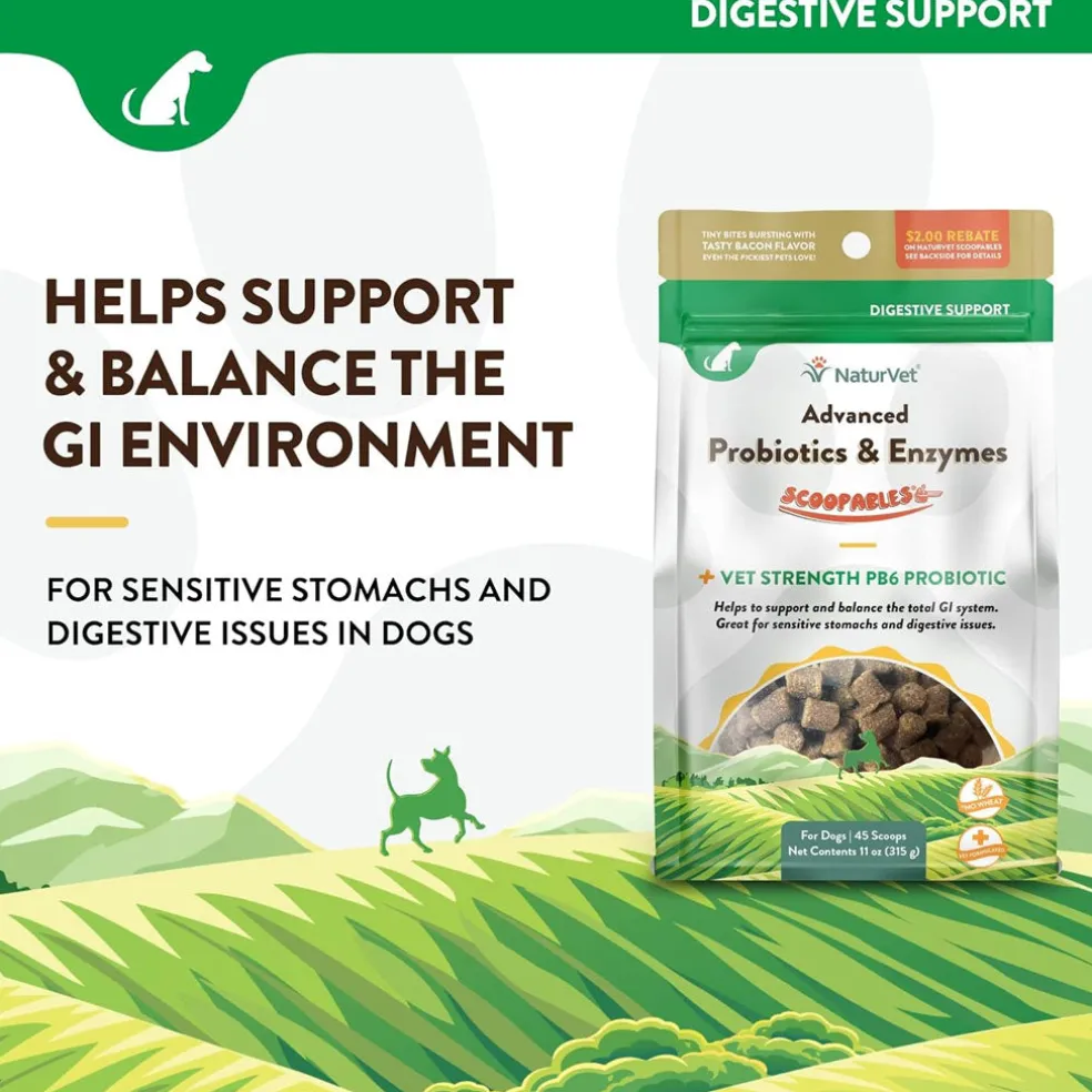 NaturVet Scoopables Advanced Probiotics & Enzymes Plus Vet Strength PB6 Probiotic for Dogs, 11-oz