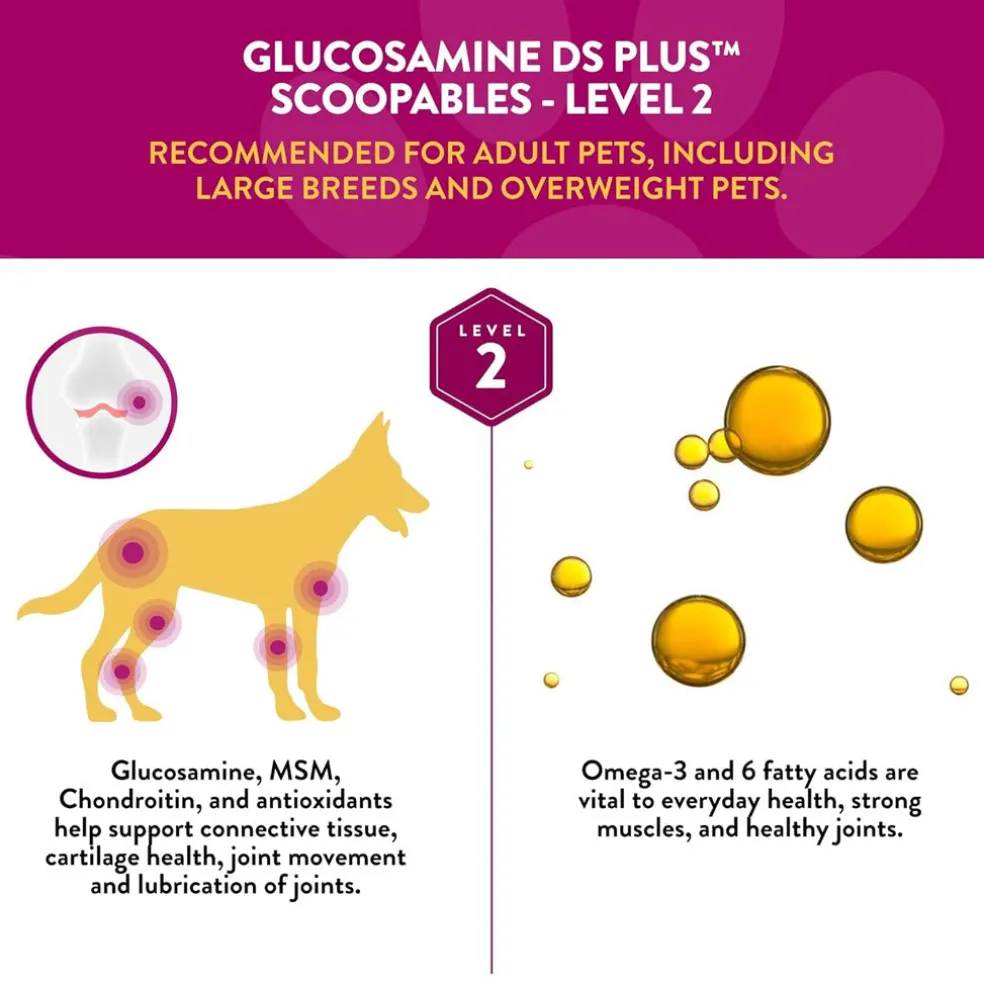 NaturVet Scoopables Glucosamine DS Plus Level 2 Plus Omega-3 & 6 Fatty Acids for Dogs, 11-oz