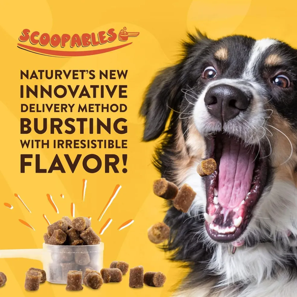 NaturVet Scoopables Glucosamine DS Plus Level 2 Plus Omega-3 & 6 Fatty Acids for Dogs, 11-oz