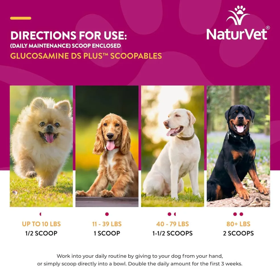 NaturVet Scoopables Glucosamine DS Plus Level 2 Plus Omega-3 & 6 Fatty Acids for Dogs, 11-oz