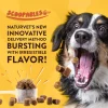 NaturVet Scoopables No Scoot Anal Gland Support Plus Pumpkins For Dogs, 11-oz