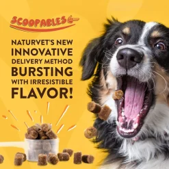 NaturVet Scoopables No Scoot Anal Gland Support Plus Pumpkins For Dogs, 11-oz