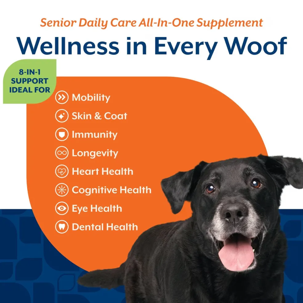 NaturVet Senior Daily Care Multi-Benefit 8-in-1 Support For Dogs (60 Soft Chews)