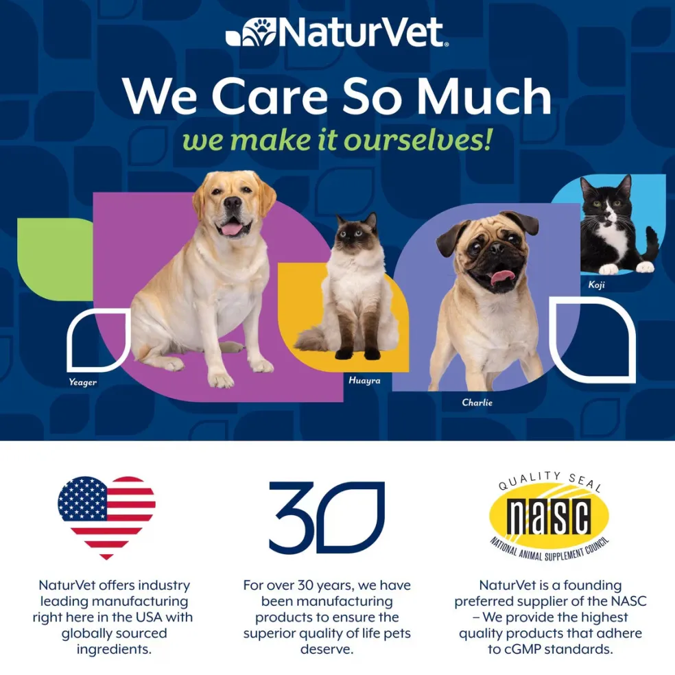 NaturVet Senior Daily Care Multi-Benefit 8-in-1 Support For Dogs (60 Soft Chews)