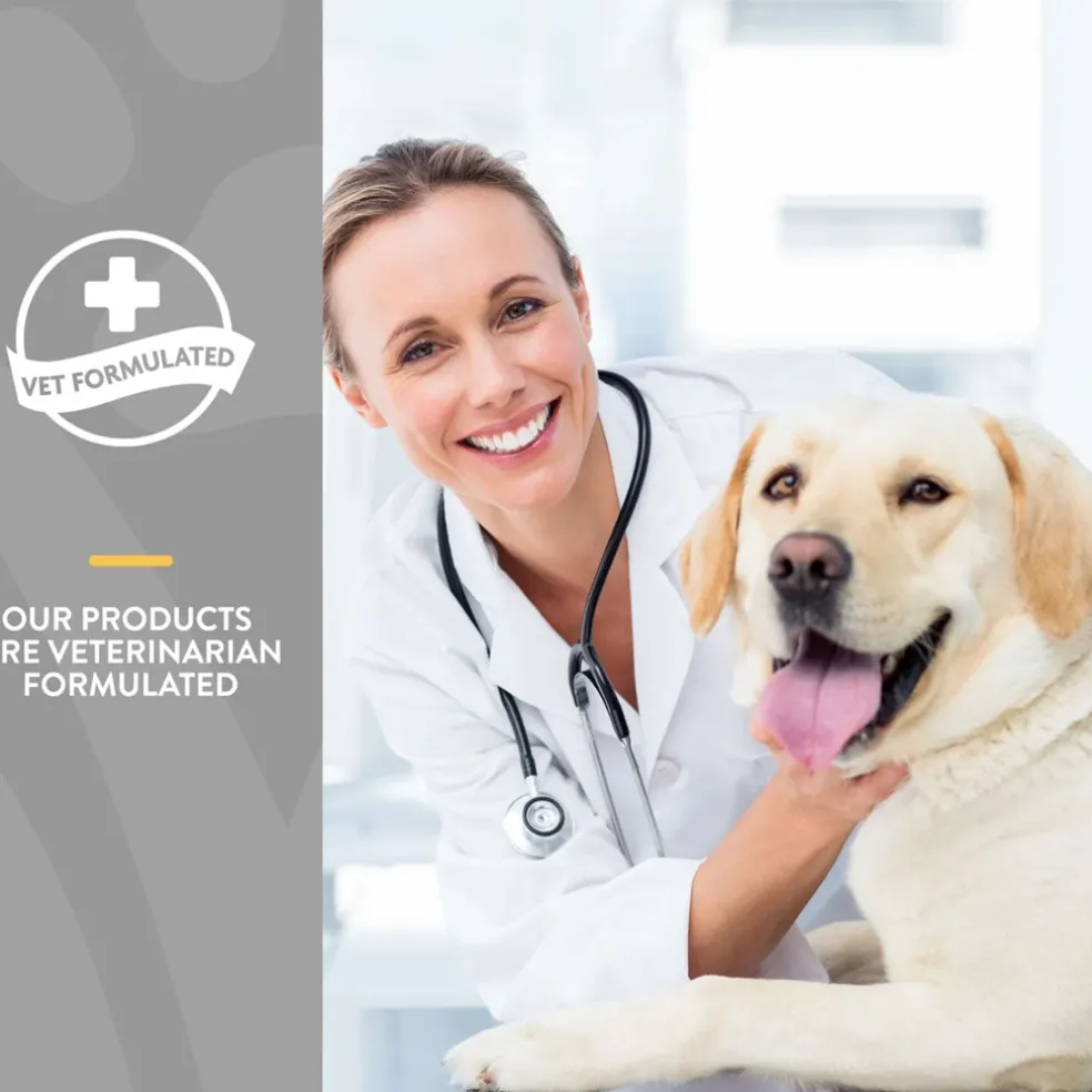 NaturVet Senior Wellness Hip & Joint Chewable Tablets Advanced Plus Omega-3 for Dogs, 40 count
