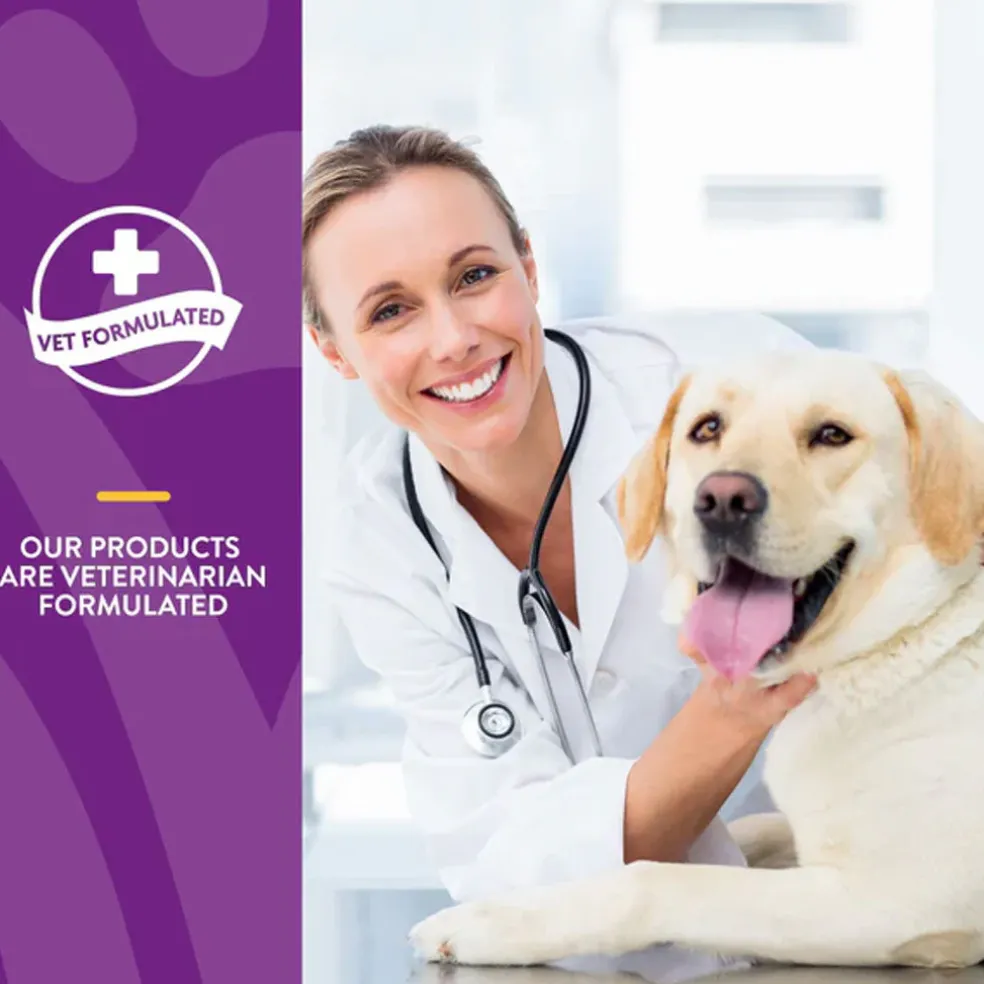 NaturVet VitaPet Adult Daily Vitamins Plus Breath Aid Soft Chews for Dogs, 60 count