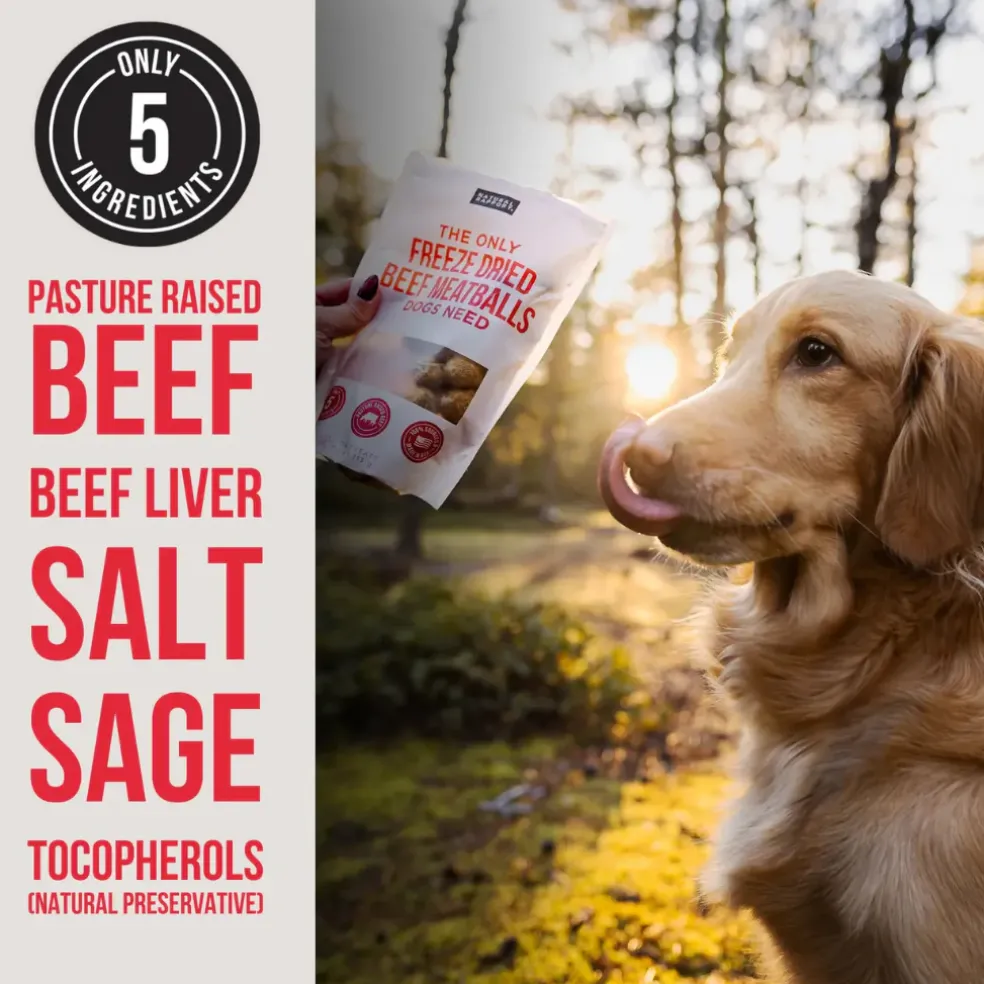 Nautral Rapport The Only Freeze Dried Beef Meatballs Dogs Need