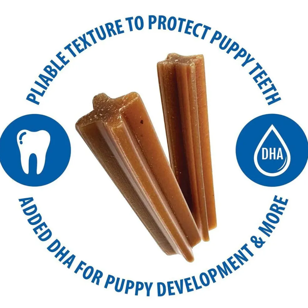 N-Bone Jumbo Puppy Teething Sticks Pumpkin Flavor Dog Treats, 7 count