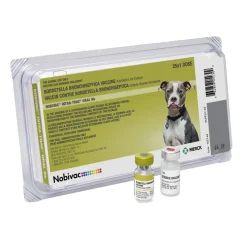 Nobivac Intra-Trac Oral Bb Vaccine for Dogs, 25 Doses