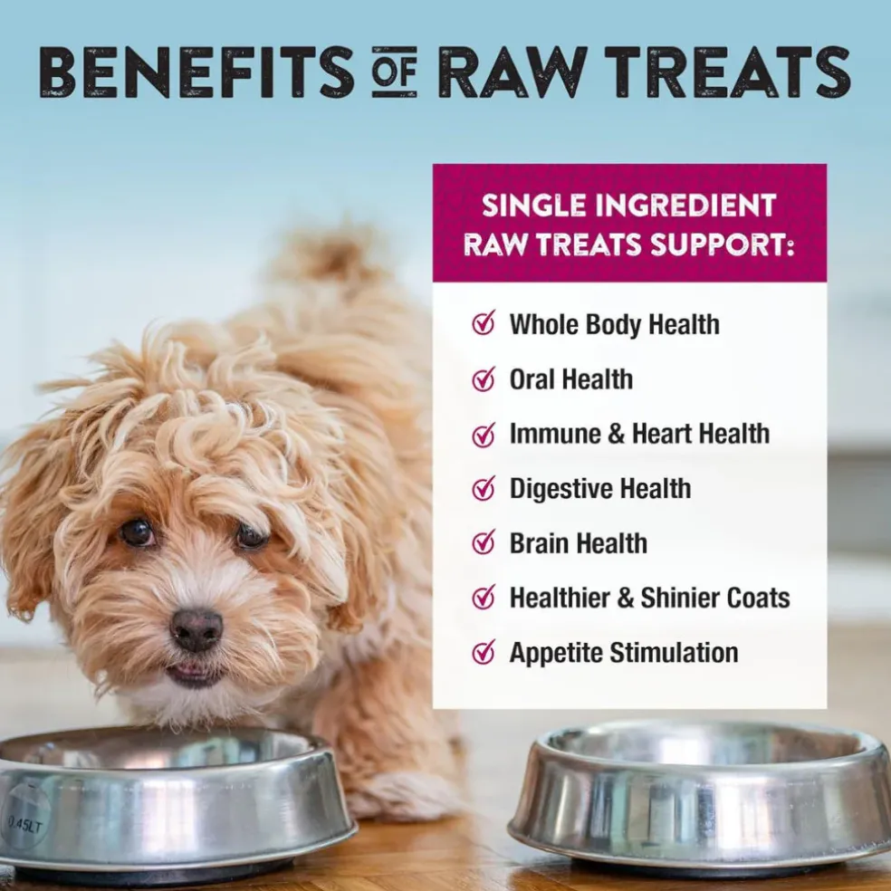 Northwest Naturals Freeze-Dried Beef Heart Treats for Dogs & Cats