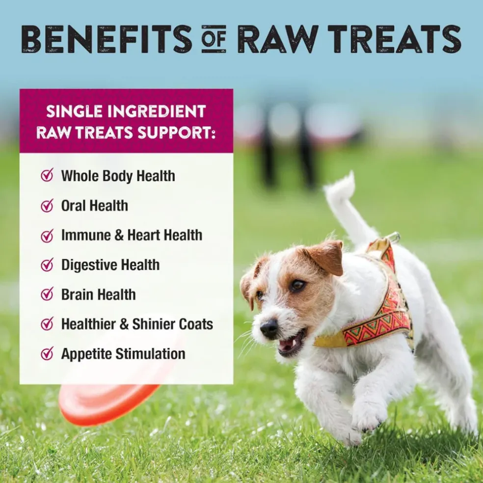 Northwest Naturals Freeze-Dried Beef Heart Treats for Dogs & Cats