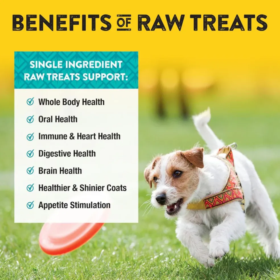 Northwest Naturals Freeze-Dried Chick Breast Treats for Dogs & Cats