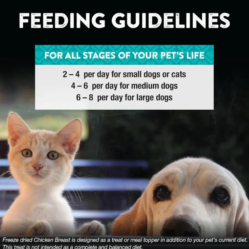 Northwest Naturals Freeze-Dried Chick Breast Treats for Dogs & Cats