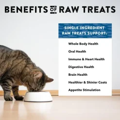 Northwest Naturals Freeze-Dried Herring Treats for Dogs & Cats (13 oz)