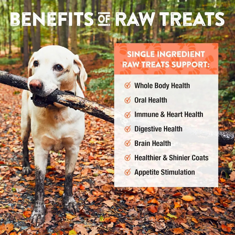 Northwest Naturals Freeze-Dried Shrimp Treats for Dogs & Cats (1 oz)