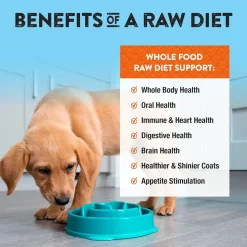 Northwest Naturals Freeze-Dried Nuggets Chicken & Salmon Recipe Raw Diets for Dogs