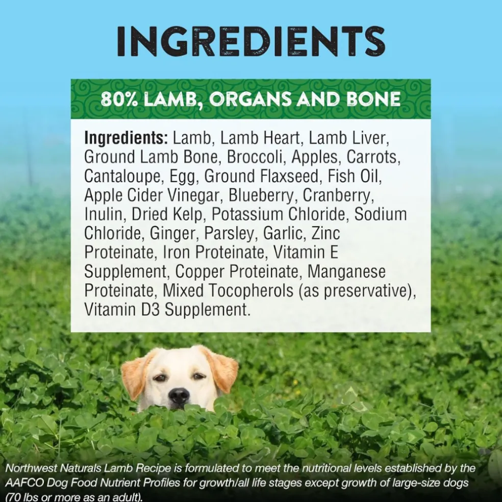 Northwest Naturals Freeze-Dried Nuggets Lamb Recipe Raw Diets for Dogs