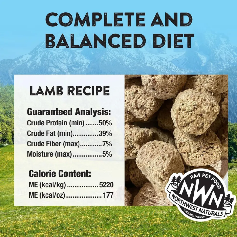 Northwest Naturals Freeze-Dried Nuggets Lamb Recipe Raw Diets for Dogs