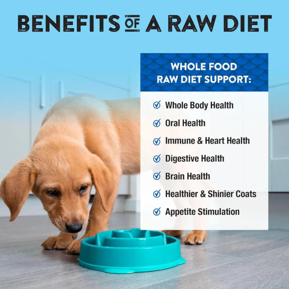 Northwest Naturals Freeze-Dried Nuggets Beef & Trout Recipe Raw Diets for Dogs