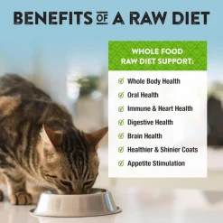 Northwest Naturals Freeze-Dried Chicken Recipe Raw Diets for Cats (11 oz)