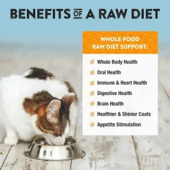 Northwest Naturals Freeze-Dried Duck Recipe Raw Diets for Cats (11 oz)
