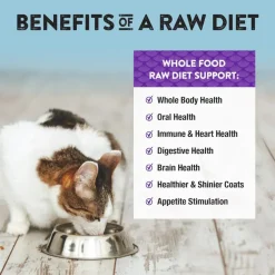 Northwest Naturals Freeze-Dried Whitefish Recipe Raw Diets for Cats (11 oz)
