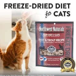 Northwest Naturals Freeze-Dried Beef & Trout Recipe Raw Diets for Cats (11 oz)