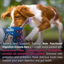 Nulo Functional Granola Bar Digestion Gut Health Dog Treats Pumpkin & Banana, 10-oz