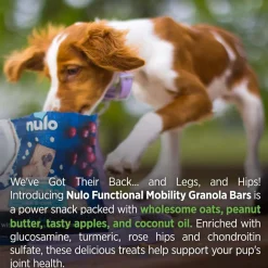 Nulo Functional Granola Bar Mobility Hip & Joint Health Dog Treats Peanut Butter & Apples, 10-oz