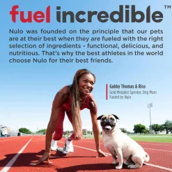 Nulo Functional Granola Bar Mobility Hip & Joint Health Dog Treats Peanut Butter & Apples, 10-oz
