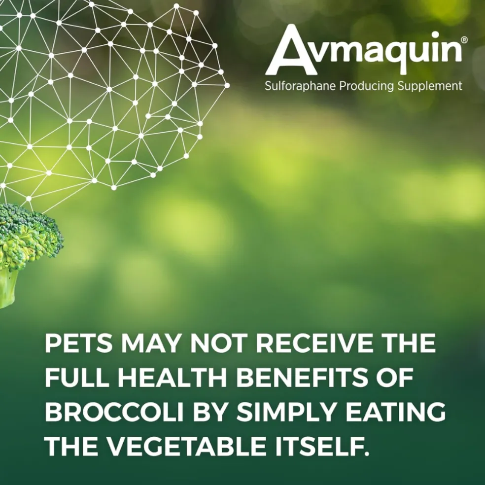 Nutramax Avmaquin Sulforaphane Producing Supplement for Dogs (45 tablets)