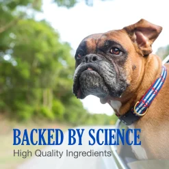 Nutramax Cobalequin B12 Supplement for Medium to Large Dogs, 45 Chewable Tablets