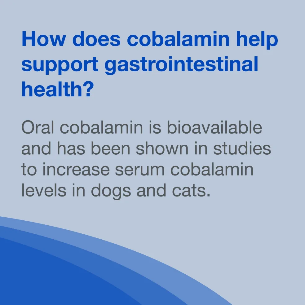 Nutramax Cobalequin B12 Supplement for Cats and Small Dogs, 45 Chewable Tablets