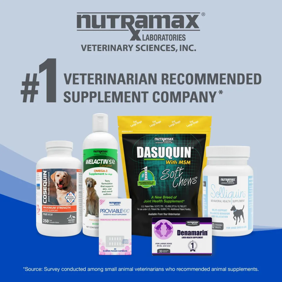 Nutramax Cobalequin B12 Supplement for Cats and Small Dogs, 45 Chewable Tablets
