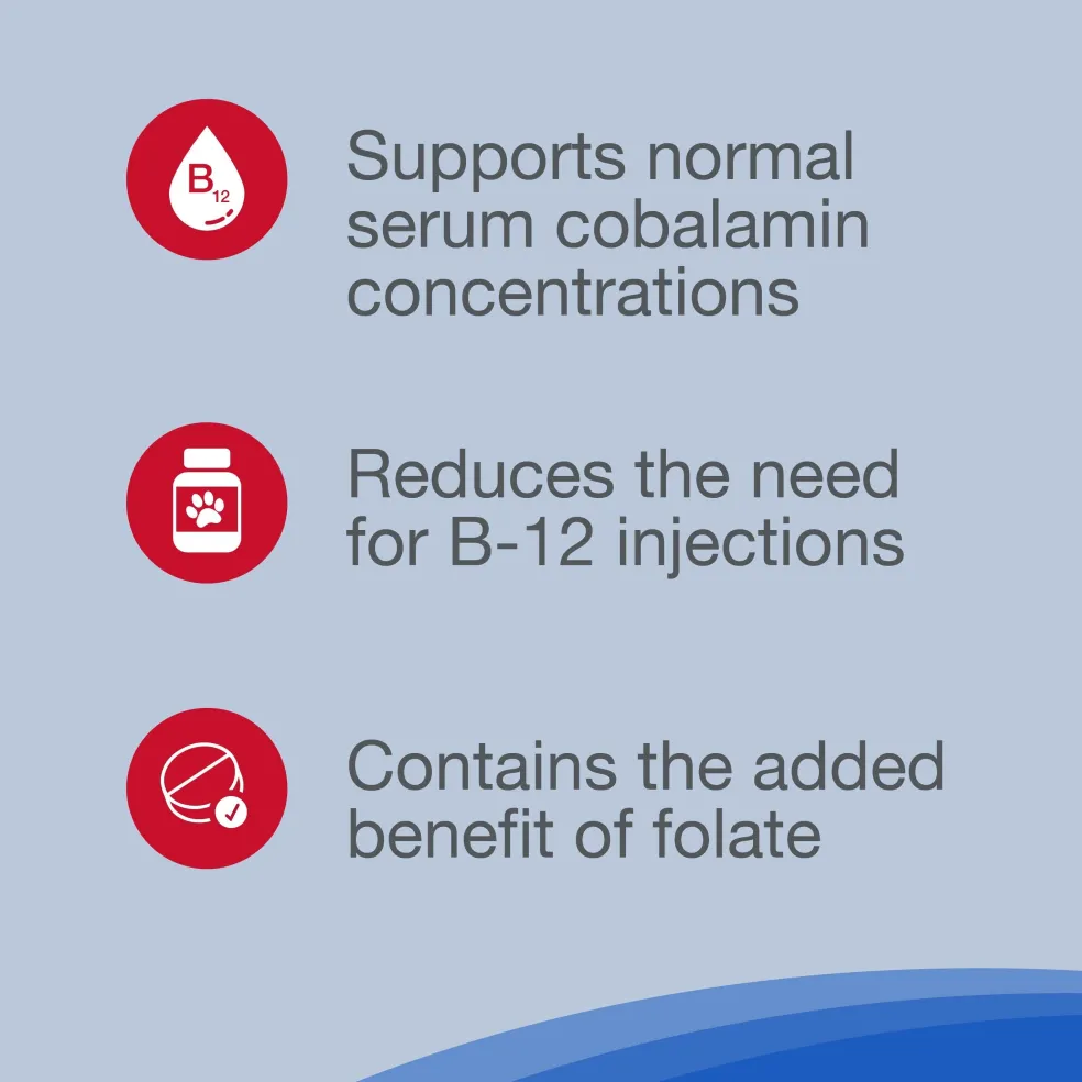 Nutramax Cobalequin B12 Supplement for Cats and Small Dogs, 45 Chewable Tablets
