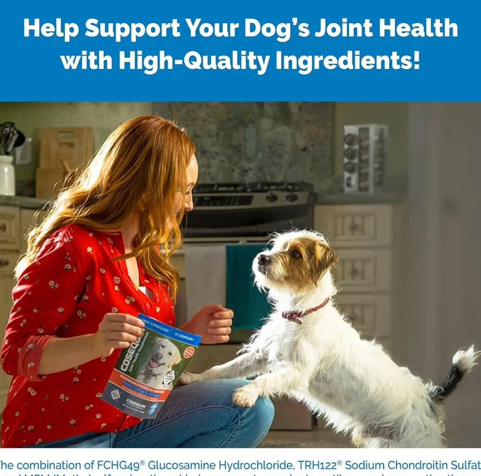 Nutramax Cosequin DS Joint Health Chewable Supplement for Dogs - With Glucosamine and Chondroitin