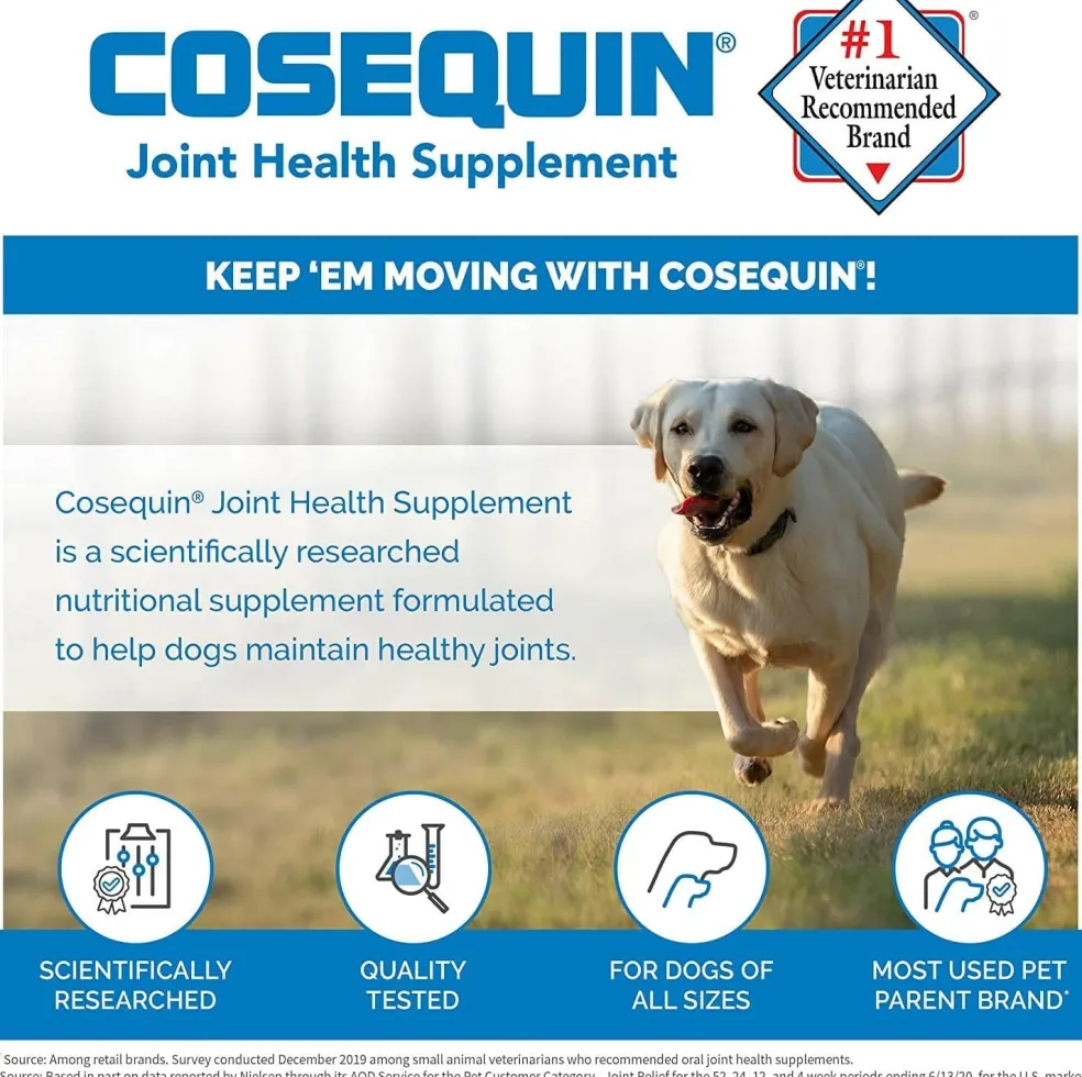 Nutramax Cosequin DS Joint Health Chewable Supplement for Dogs - With Glucosamine and Chondroitin