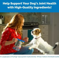 Nutramax Cosequin DS Joint Health Supplement for Dogs - With Glucosamine and Chondroitin, 132 Capsules