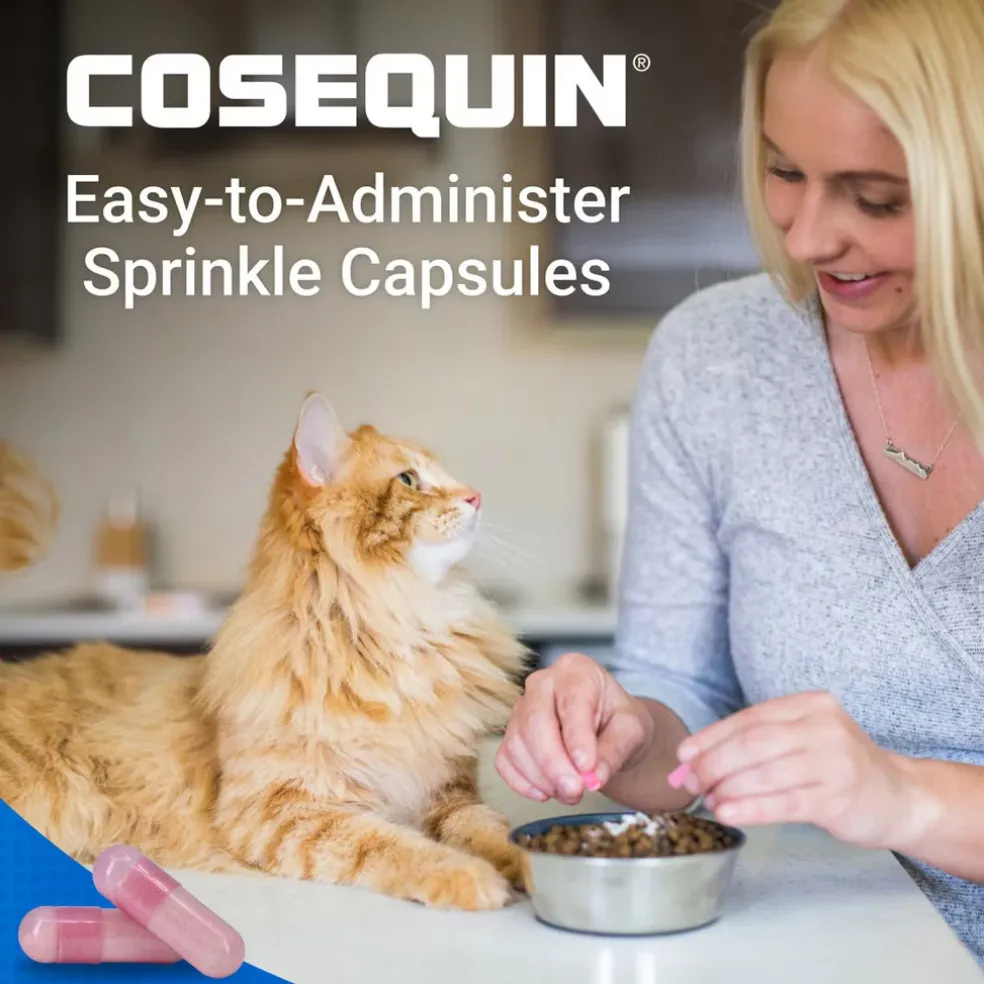 Nutramax Cosequin Joint Health Supplement for Cats - With Glucosamine and Chondroitin, 80 Capsules