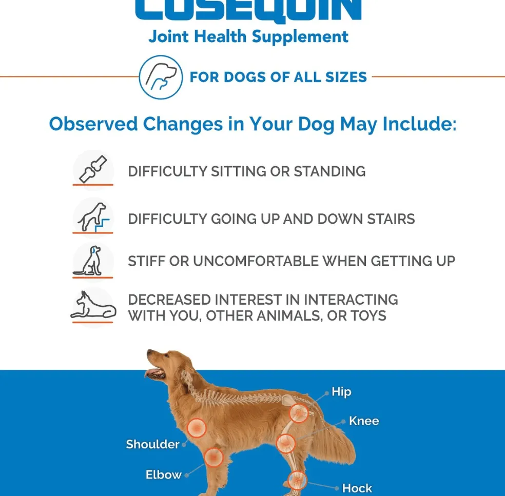 Nutramax Cosequin Maximum Strength Joint Health Supplement for Dogs - With Glucosamine, Chondroitin, and MSM