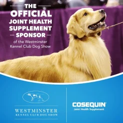 Nutramax Cosequin Maximum Strength Joint Health Supplement for Dogs - With Glucosamine, Chondroitin, and MSM