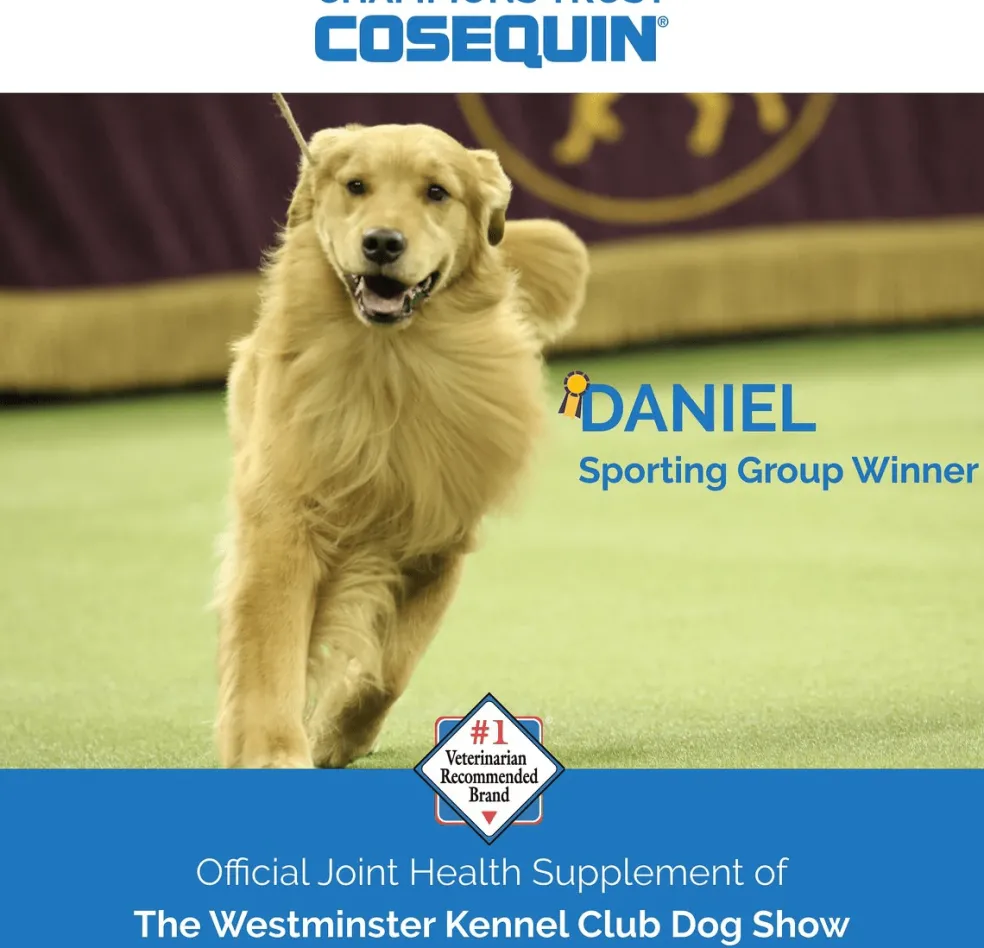 Nutramax Cosequin Maximum Strength Joint Health Supplement for Dogs - With Glucosamine, Chondroitin, and MSM
