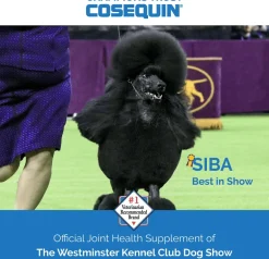 Nutramax Cosequin Maximum Strength Joint Health Supplement for Dogs - With Glucosamine, Chondroitin, and MSM